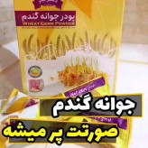 پودر جوانه گندم برند بین استار پک دو عددی برای افزایش وزن صورت و بدن