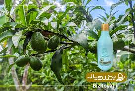 شامپو بدن عصاره آووکادو ۳۰۰ میل آبرسان موثر به پوست برند دکتر بیز